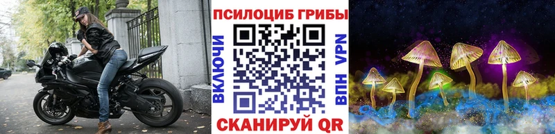Псилоцибиновые грибы мицелий  Купить  Когалым 